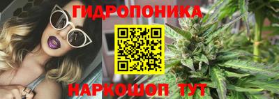 гидропоника Кингисепп