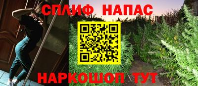 трава Кинель