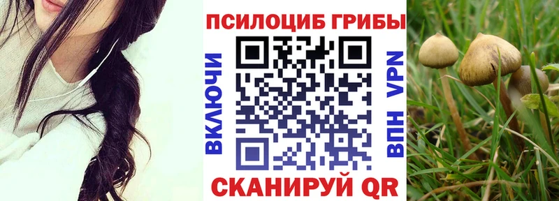 Псилоцибиновые грибы Psilocybine cubensis  купить  цена  Нурлат 