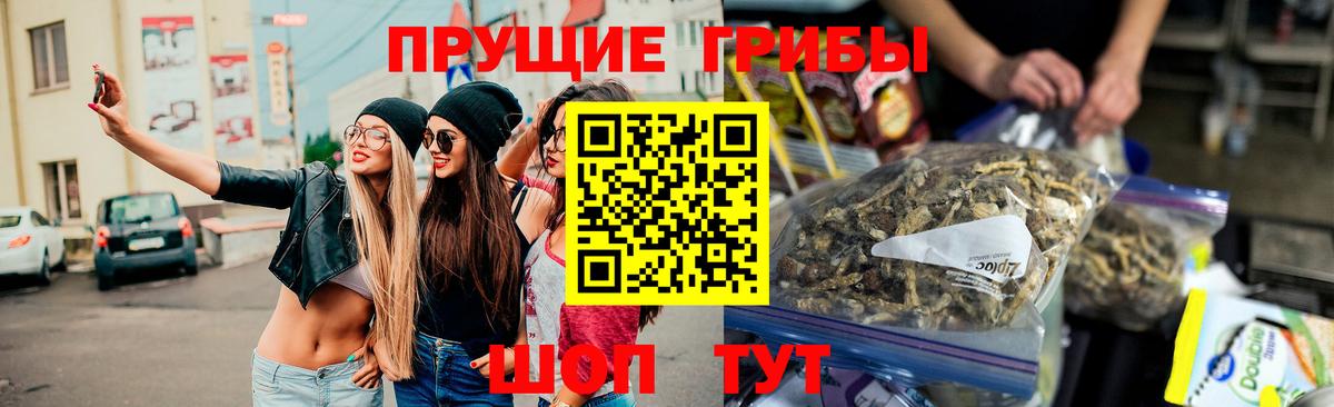 Галлюциногенные грибы Magic Shrooms  Псилоцибиновые грибы ЛСД  Вход с VPN  Нурлат 